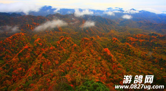 光霧山旅游攻略最新,光霧山旅游攻略最新指南