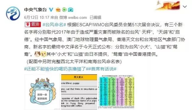 新澳門三期必開一期,新澳門三期必開一期，揭示背后的風(fēng)險(xiǎn)與應(yīng)對之策