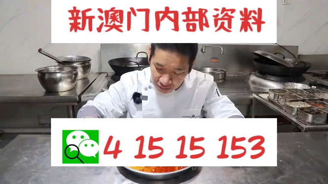 管家婆一碼一肖資料大全,管家婆一碼一肖資料大全，深度解析與實(shí)際應(yīng)用