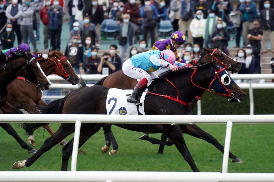 2024今晚香港開特馬開什么,探索香港賽馬文化，2024今晚特馬賽事展望