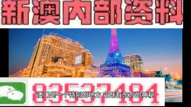 2024新澳門跑狗圖今晚特,新澳門跑狗圖，探索未來的跑狗世界（今晚特刊）