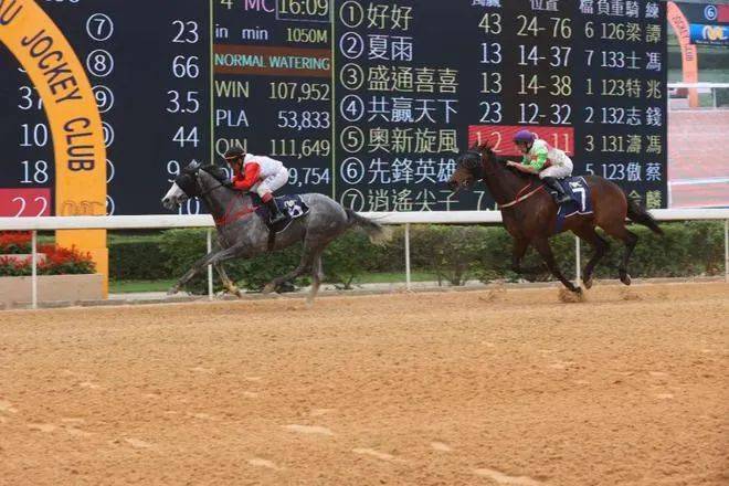 新澳門今晚開特馬結果查詢,澳門特馬結果查詢與相關法律風險探討