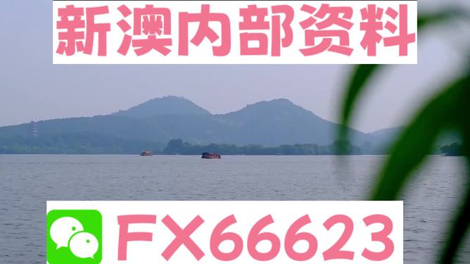 2024新澳資料免費精準051,探索未來之路，關(guān)于新澳資料免費精準服務(wù)的深度解析（附詳細指南）