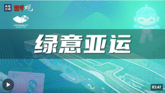 精準一肖一碼一子一中,精準預測，一肖一碼一子一中的奧秘