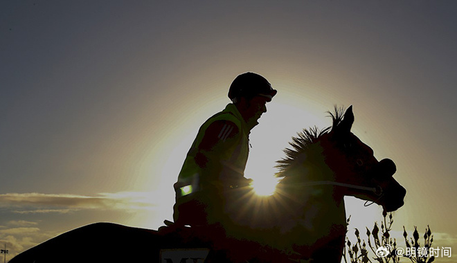 2024今晚澳門開特馬開什么,探索澳門特馬，揭秘未來開獎(jiǎng)的神秘面紗