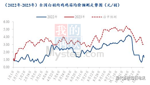 2024新奧門(mén)資料雞號(hào)幾號(hào),關(guān)于新奧門(mén)資料雞號(hào)的探討與預(yù)測(cè)——以2024年為背景的分析