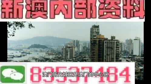 2024澳門精準(zhǔn)正版澳門,澳門精準(zhǔn)正版與犯罪問(wèn)題探討