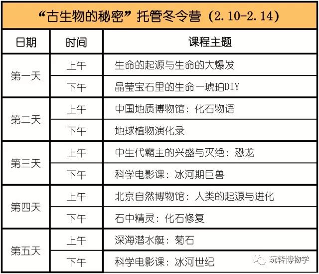 2024新奧正版資料免費大全,最新答案,探索未來奧秘，2024新奧正版資料免費大全與最新答案解析