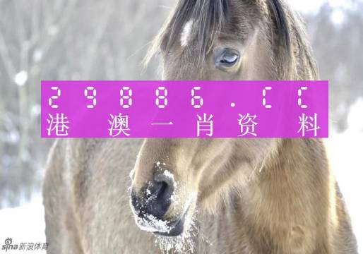 澳門精準(zhǔn)一肖一碼100%精準(zhǔn),澳門精準(zhǔn)一肖一碼，揭秘背后的真相與風(fēng)險警示