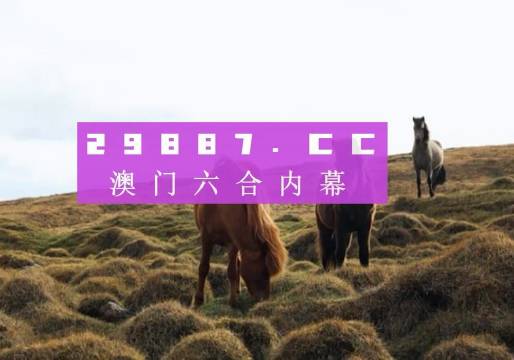 澳門開獎(jiǎng)記錄,澳門開獎(jiǎng)記錄，探索與解析