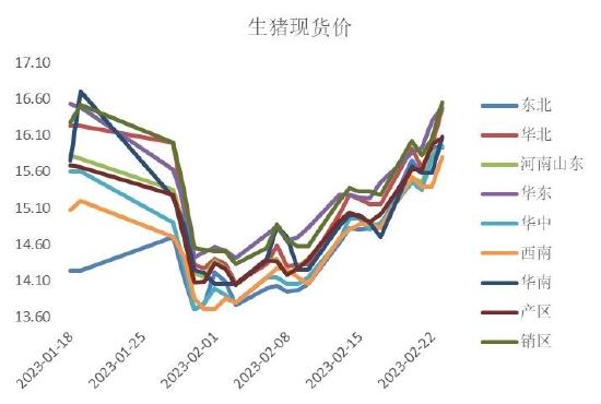 最新豬價(jià),最新豬價(jià)動(dòng)態(tài)及其對(duì)產(chǎn)業(yè)鏈的影響