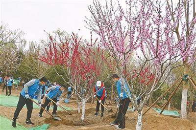 公園設計規(guī)范最新版,公園設計規(guī)范最新版，塑造更優(yōu)質(zhì)的公共綠色空間