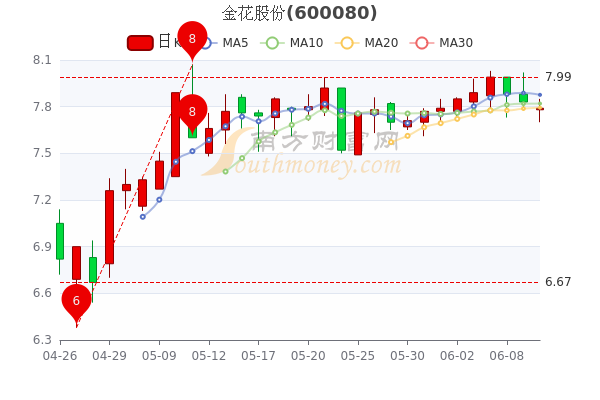 金花股份最新消息,金花股份最新消息全面解析