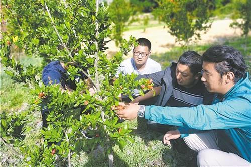 察瓦龍到察隅最新路況,察瓦龍到察隅最新路況報告