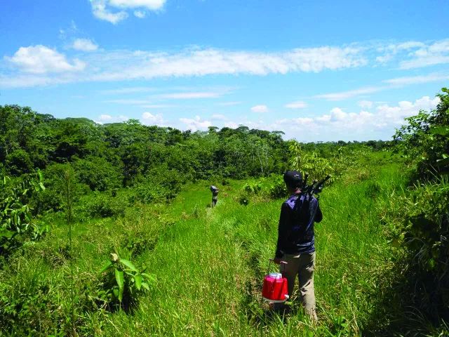 秦光栄最新消息,秦光栄最新消息，揭開神秘面紗，探尋最新動(dòng)態(tài)