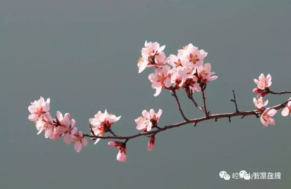 崆峒山門票價格最新,崆峒山門票價格最新動態(tài)