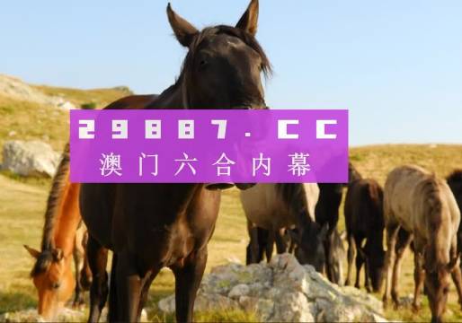 澳門管家婆一肖一碼,即時解答解析分析_遠(yuǎn)程版21.892