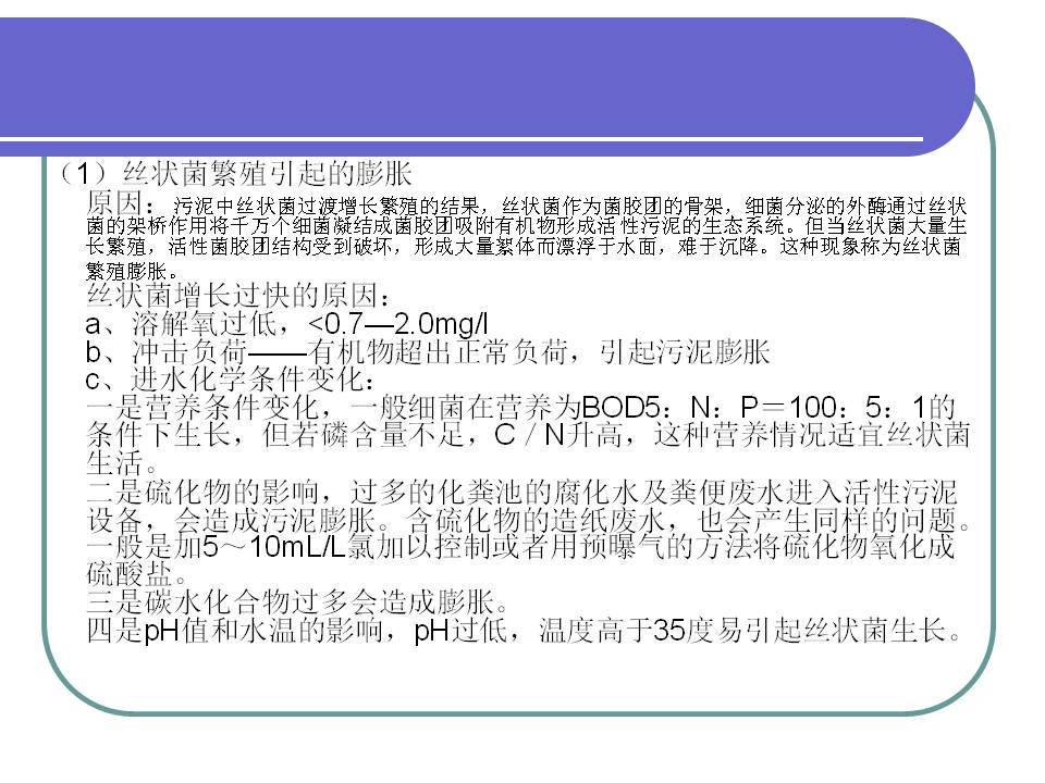 2024年12月16日 第41頁