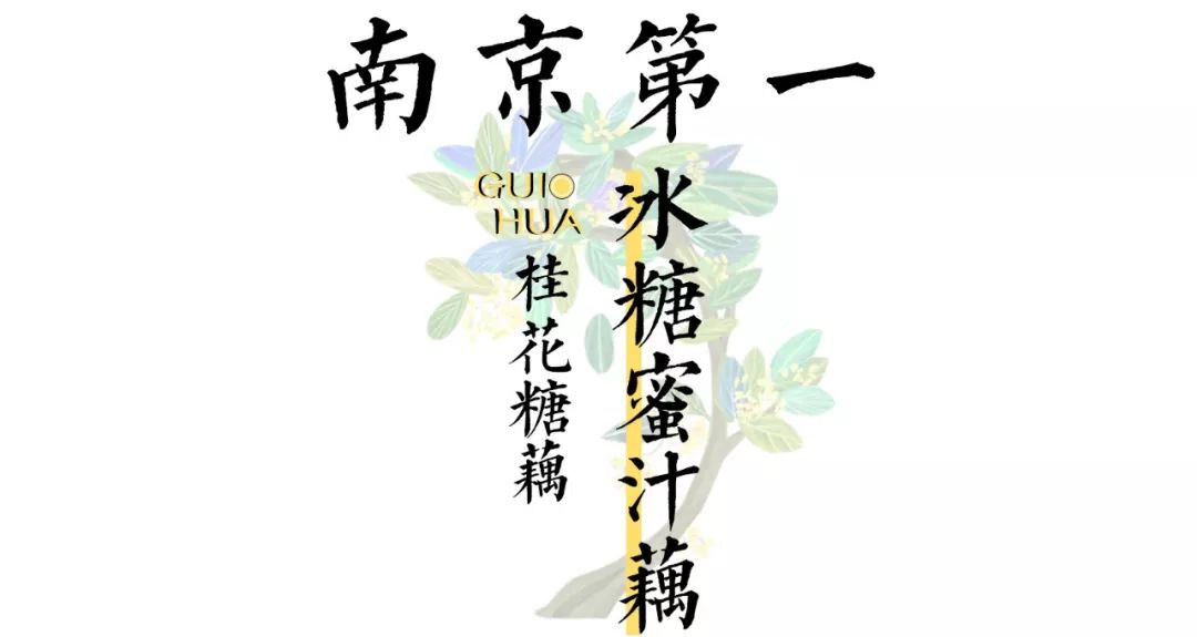 這碗粥最新小說,最新小說這碗粥，溫情與命運的交織