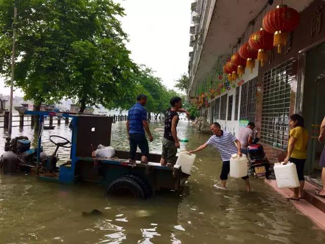 肇慶洪水最新消息,肇慶洪水最新消息，災害應對與重建工作的進展