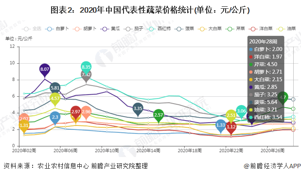 大白菜最新價格行情,大白菜最新價格行情分析