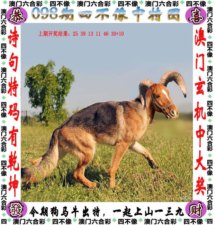 新澳2024今晚開(kāi)獎(jiǎng)資料四不像,即時(shí)解答解析分析_為你版6.724