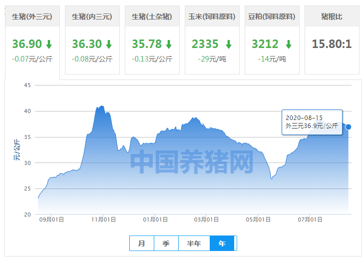 三肖必中特三肖必中,處于迅速響應執(zhí)行_緊湊版65.710