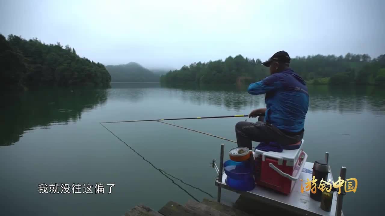 最新釣魚視頻,最新釣魚視頻，探索垂釣的樂趣與技巧