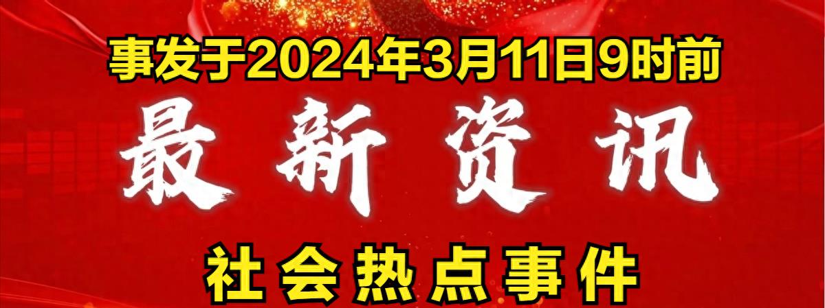 最新新聞視頻,最新新聞視頻，全球時事動態(tài)與熱點解析