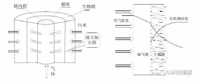 氧最新,氧最新研究進(jìn)展與應(yīng)用前景