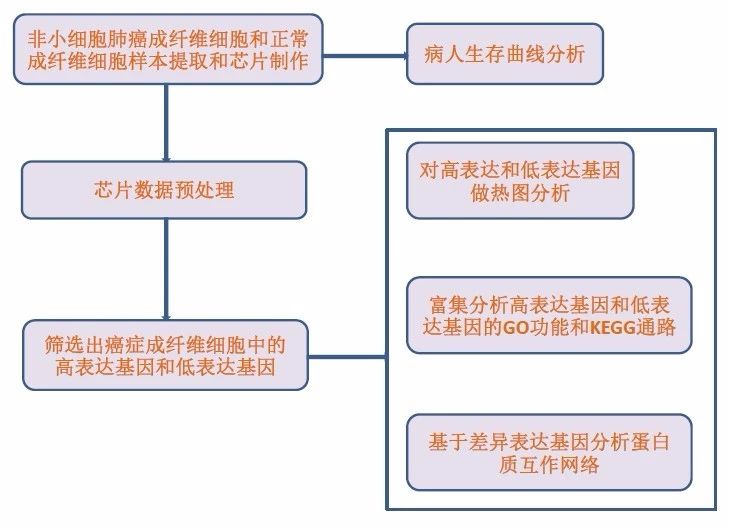 新澳資料免費(fèi),最新數(shù)據(jù)挖解釋明_教育版72.243