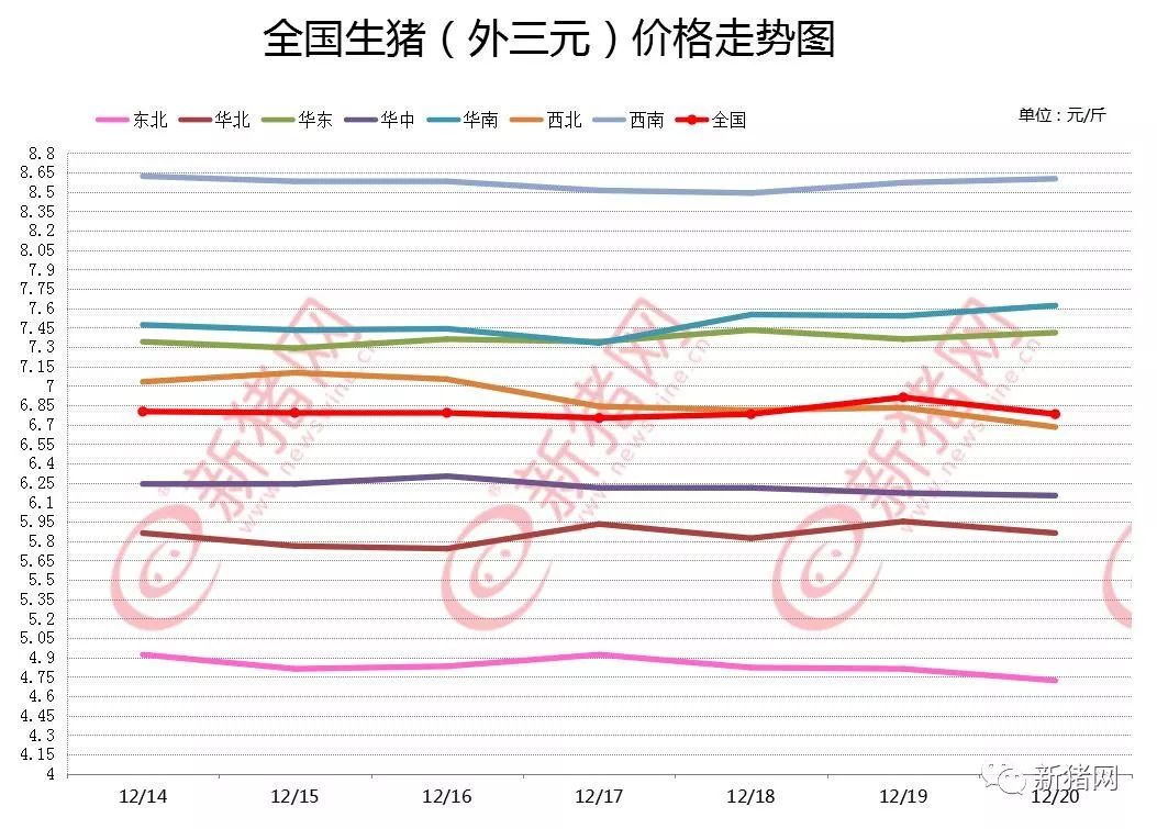 仔豬最新價格,仔豬最新價格動態(tài)分析