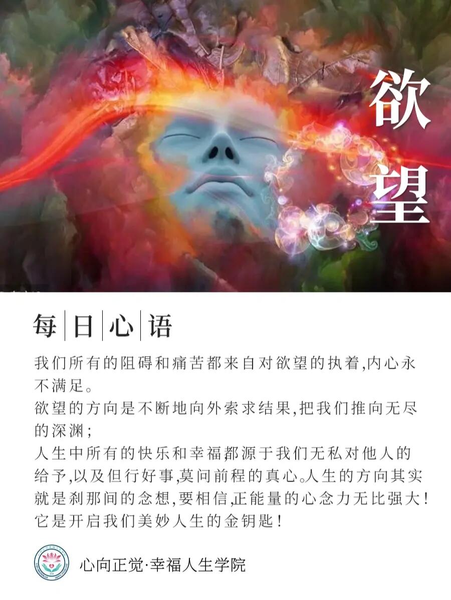 最新欲,最新欲望的探討與啟示