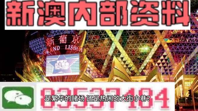 新澳門精準資料大全管家婆料,創(chuàng)新解釋說法_可靠性版17.106