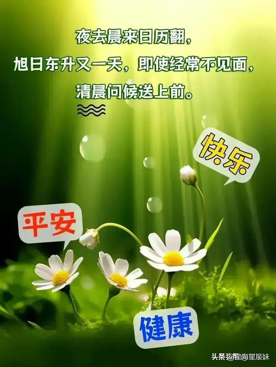 2024年天天彩精準(zhǔn)資料,專業(yè)解讀方案實(shí)施_移動(dòng)版13.152