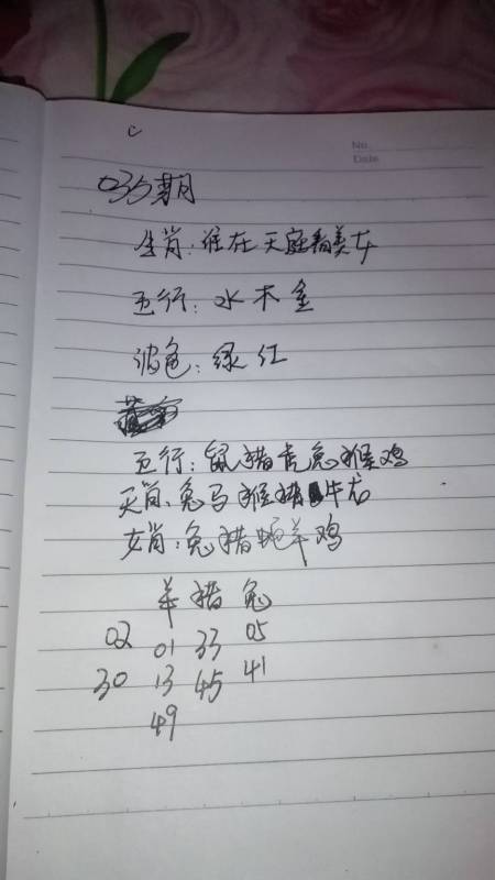 新澳門精準(zhǔn)四肖期期中特公開,釋意性描述解_活動版7.665