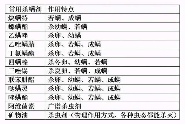 118圖庫(kù)彩圖免費(fèi)資料大全,高效性設(shè)計(jì)規(guī)劃_清新版77.228