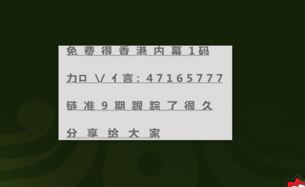 2004新澳正版兔費(fèi)大全|一舉釋義解釋落實(shí),探索新澳正版兔費(fèi)大全，一舉釋義解釋落實(shí)的奧秘