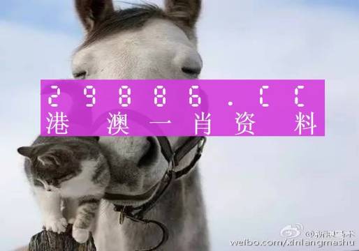 澳門一肖一碼準(zhǔn)選一碼2023年|長(zhǎng)遠(yuǎn)釋義解釋落實(shí),澳門一肖一碼準(zhǔn)選一碼2023年，長(zhǎng)遠(yuǎn)釋義與解釋的落實(shí)