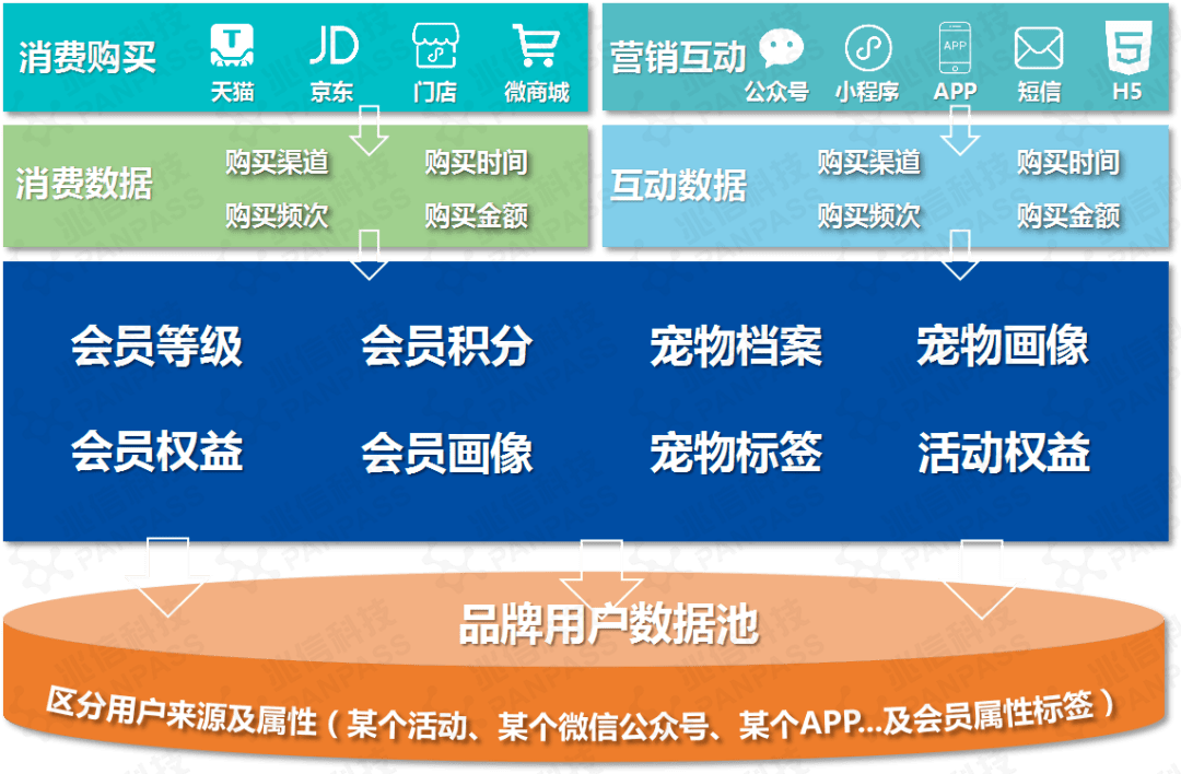 澳門一碼一肖100準嗎,精細化方案決策_任務版9.101