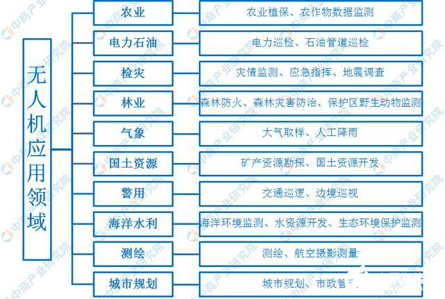 2024十二生肖49個碼|損益釋義解釋落實(shí),十二生肖與碼數(shù)解析，2024年的損益釋義及落實(shí)展望