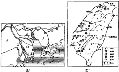 2024澳門跑狗圖正版高清圖片大全,案例實證分析_全景版41.946