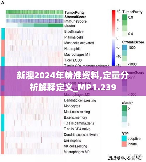 新澳2024年精準(zhǔn)資料期期|質(zhì)控釋義解釋落實(shí),新澳2024年精準(zhǔn)資料期期與質(zhì)控釋義解釋落實(shí)的全面解讀