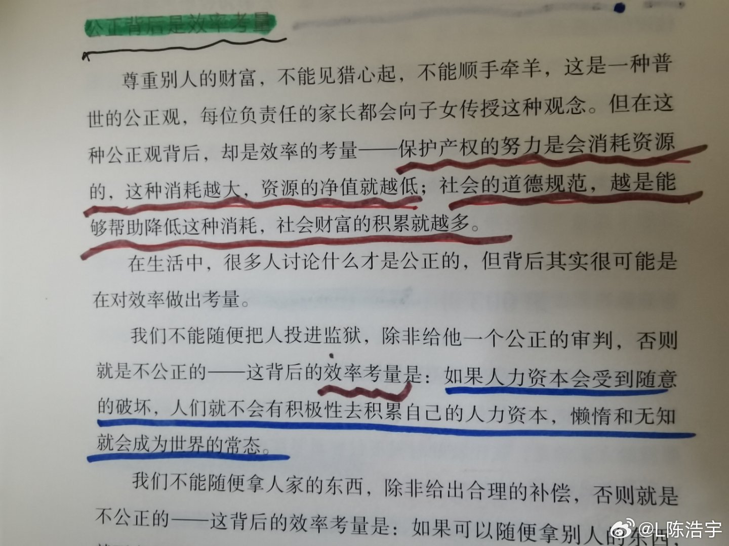 一肖一碼一一肖一子|理性釋義解釋落實(shí),一肖一碼一一肖一子，理性釋義、解釋與落實(shí)