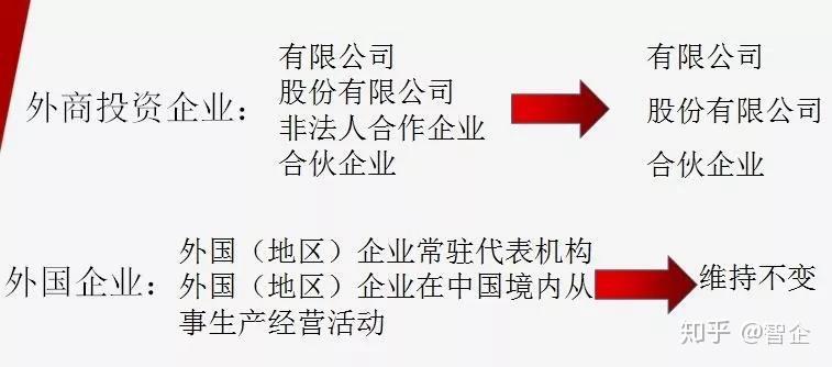 新澳門今晚精準(zhǔn)一肖|道地釋義解釋落實,新澳門今晚精準(zhǔn)一肖與道地釋義解釋落實的探討