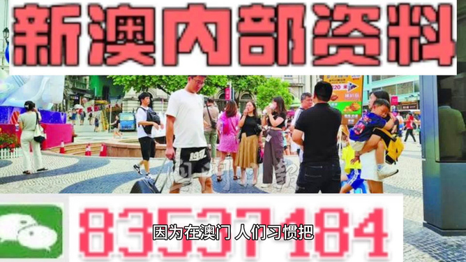 2024新澳精準資料免費|的執(zhí)釋義解釋落實,關(guān)于新澳精準資料的落實與執(zhí)釋義解釋——免費獲取資料的重要性及其影響分析