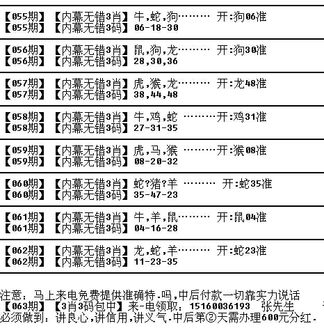 2024十二生肖49碼表|進(jìn)度釋義解釋落實,揭秘2024十二生肖與49碼表，進(jìn)度釋義解釋落實之道