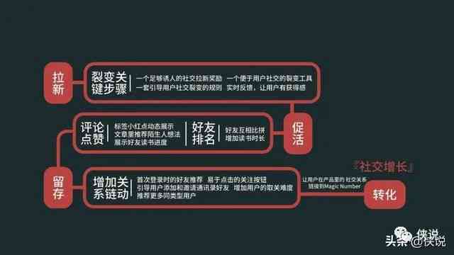 100%一肖一碼100%精準(zhǔn)|流程釋義解釋落實(shí),揭秘一肖一碼，精準(zhǔn)預(yù)測(cè)的流程釋義與落實(shí)策略