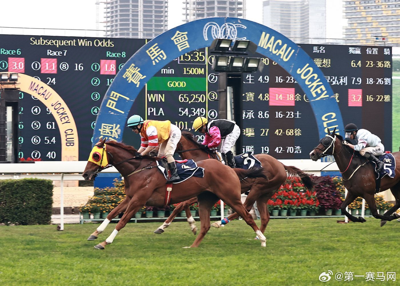 今晚澳門馬出什么特馬|化分釋義解釋落實(shí),今晚澳門馬出什么特馬——化分釋義、解釋與落實(shí)