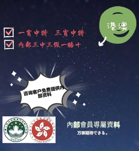 澳門王中王100%的資料三中三|交流釋義解釋落實,澳門王中王100%的資料三中三，交流釋義解釋落實的重要性